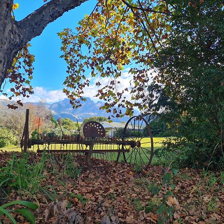 Swallowfield Rondavels Champagne Valley 外观 照片